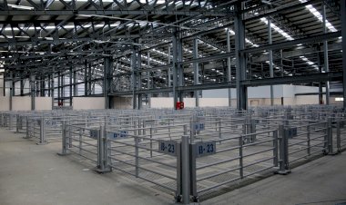 BÜYÜKŞEHİR KURBAN BAYRAMINA HAZIR