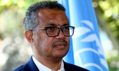 Dünya Sağlık Örgütü (DSÖ) Salgının bitiş tarihini açıkladı!