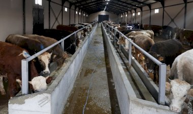 SEKMEN: “ERZURUM; HAYVANCILIK VE TARIMDA DA MARKA BİR KENT OLDU”