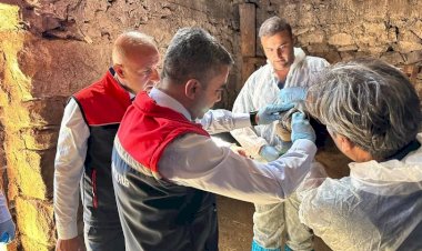 Erzurum’da Şap Hastalığına Karşı Yoğun Aşılama Çalışması