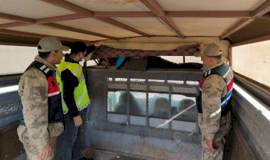 Erzurum’da Jandarmadan Düzensiz Göç Operasyonu: 28 Göçmen Yakalandı