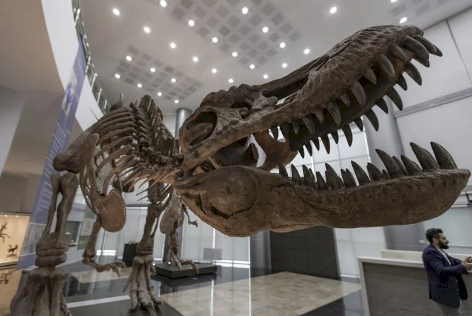 Atatürk Üniversitesi Biyoçeşitlilik Bilim Müzesi Ziyaretçilere Eşsiz Bir Yolculuk İmkanı Sunuyor